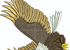 Adler 1